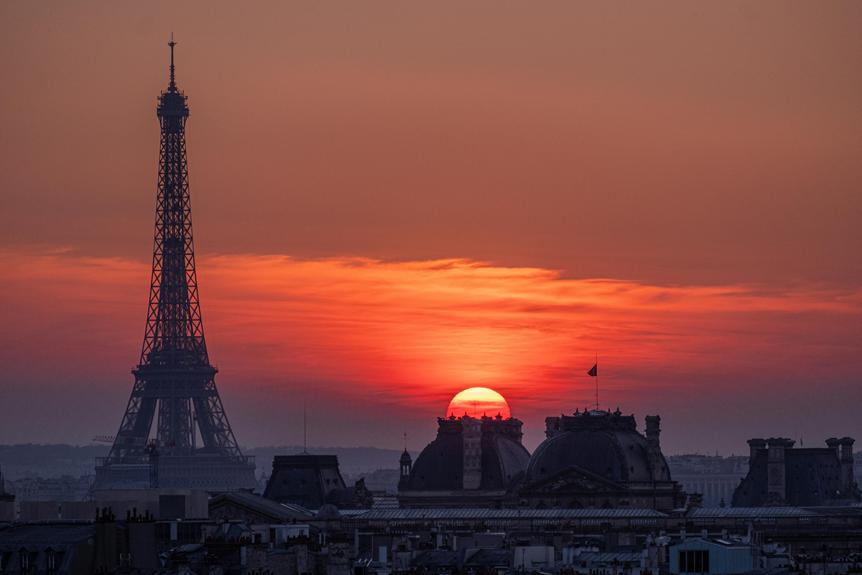 Comment Les Toitures Peuvent-Elles Contribuer À La Biodiversité Urbaine ?