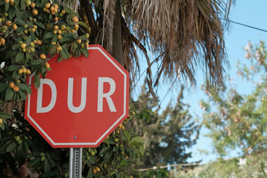 Comment Entretenir Votre Toiture Pour Prolonger Sa Durée De Vie ?